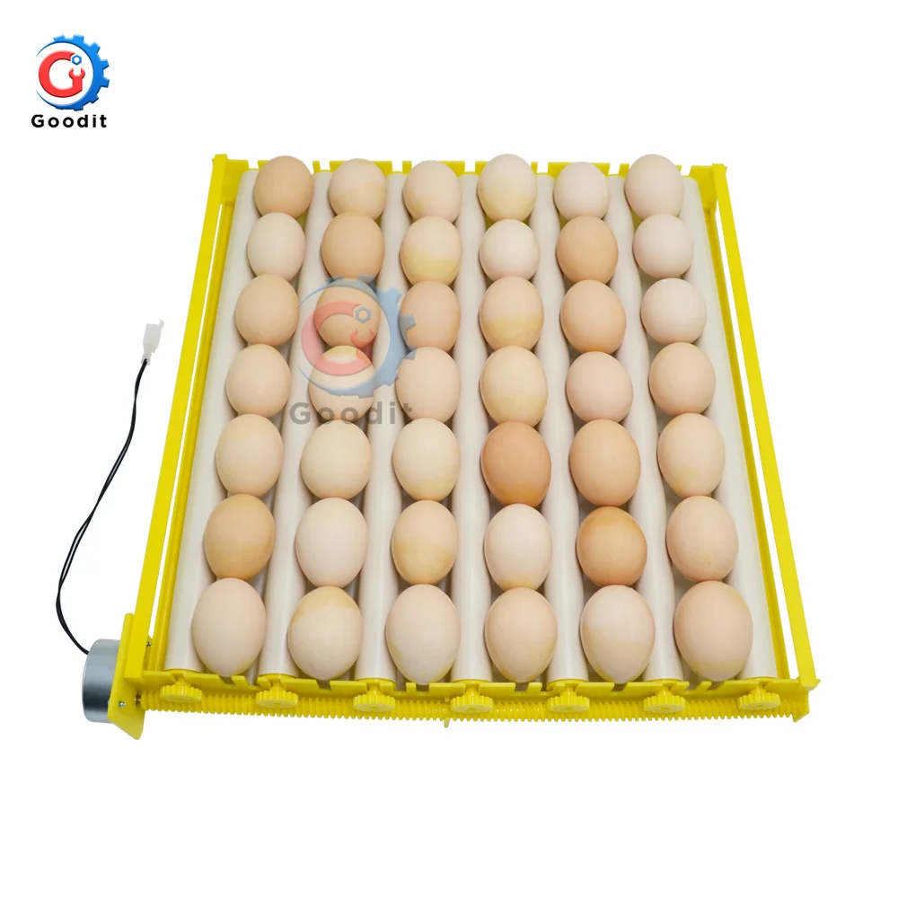 360° Automatic Rotary Egg Turner Roller Tray Eggs Incubator Accessories Roller Pattern Egg Turner Tray 42/56/156 eggs  220V Kits