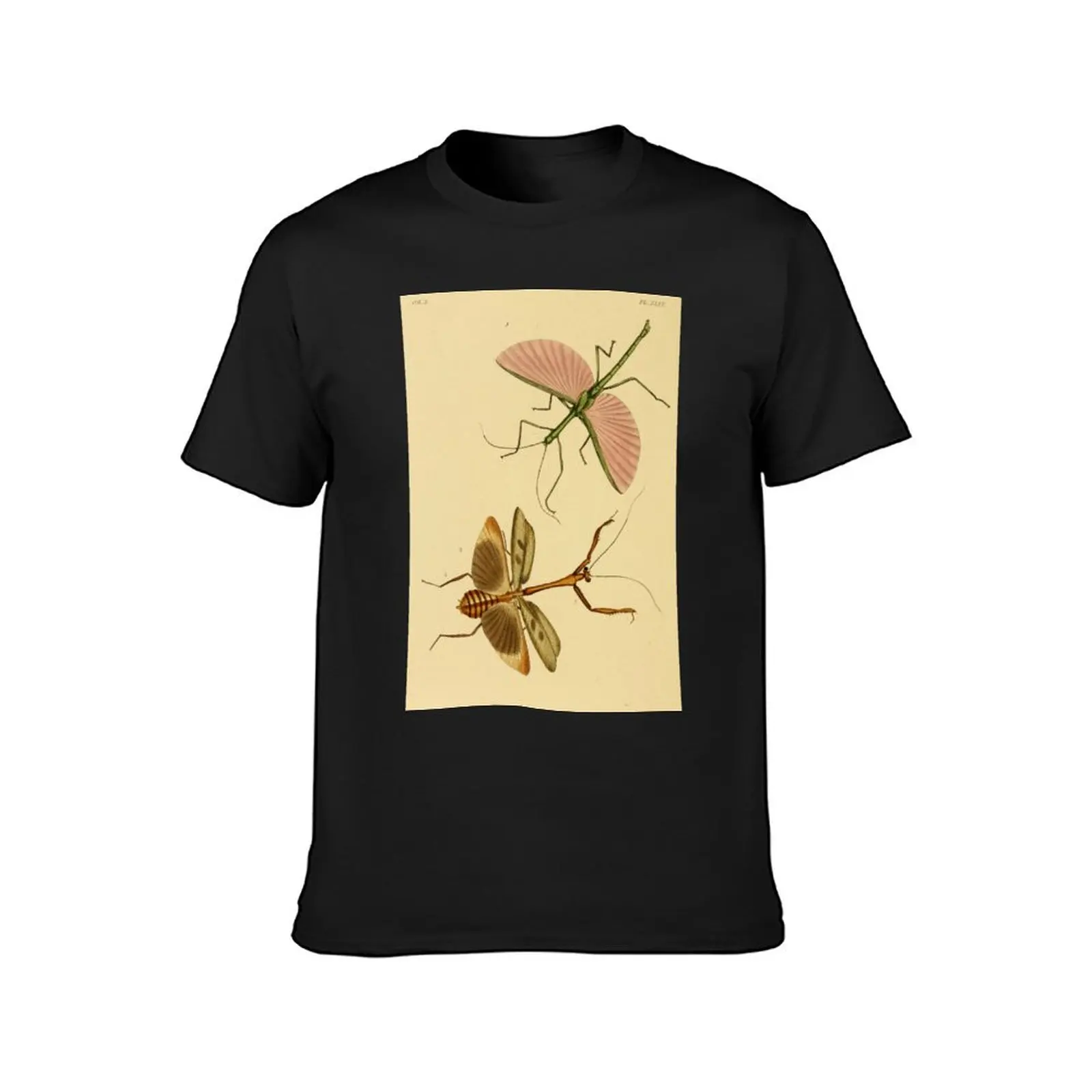 Naturalist Stick Insects T-Shirt plus size tops for a boy boys animal print aesthetic clothes mens graphic t-shirts hip hop