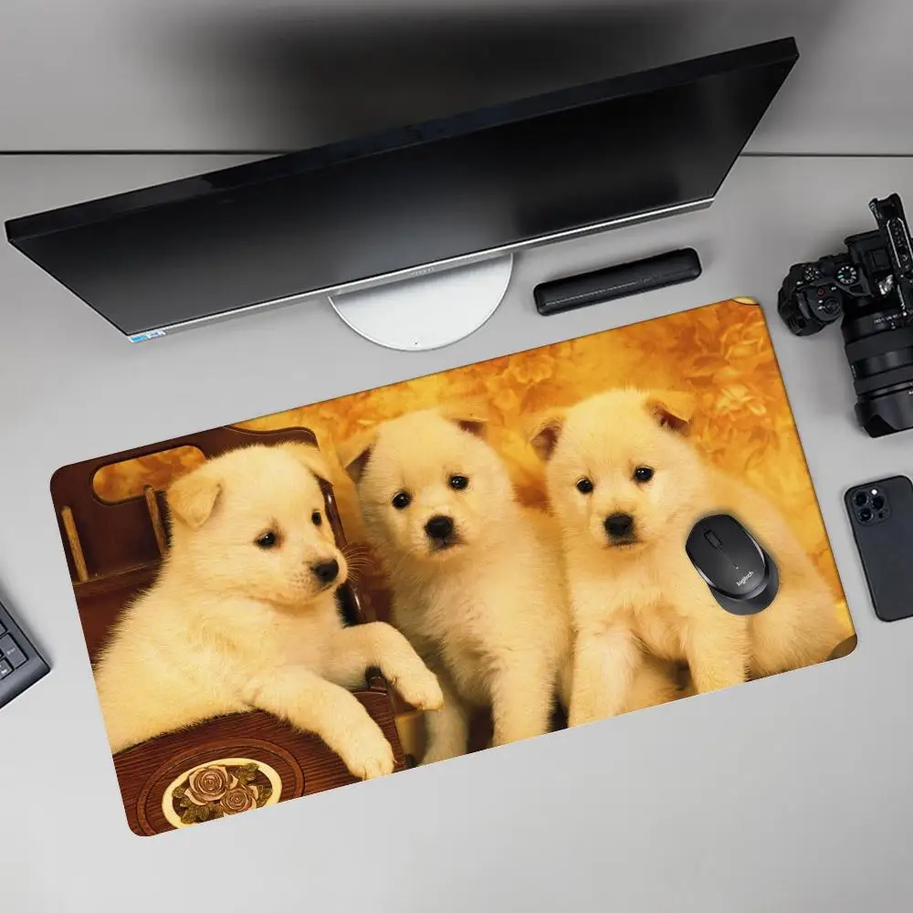 Hunde-Mauspad asdjasodasdasd