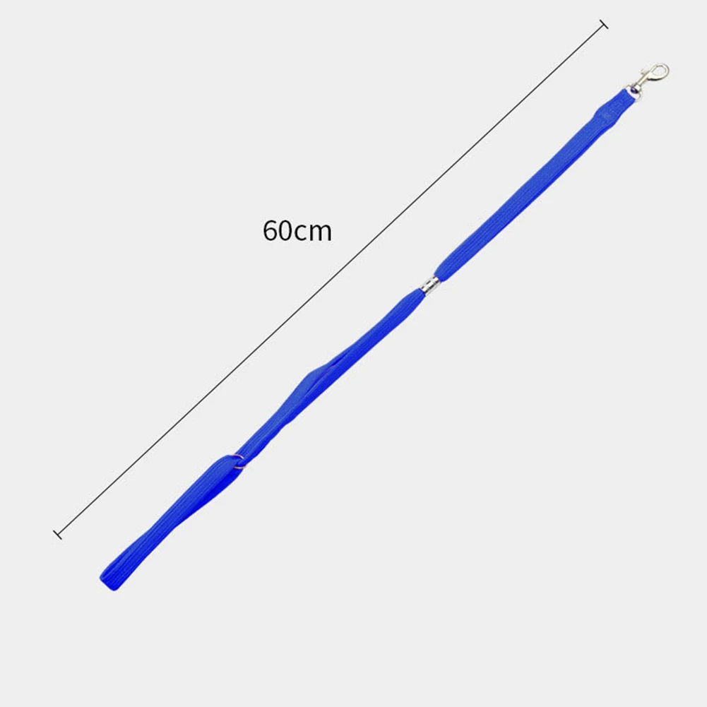 مقود العناية بالحيوانات الأليفة قابل للتعديل ، حبل أمان ، مقود للقطط والكلاب ، الاستحمام ، الجمال ، التثبيت بعد العملية الجراحية ، إكسسوارات الحيوانات الأليفة