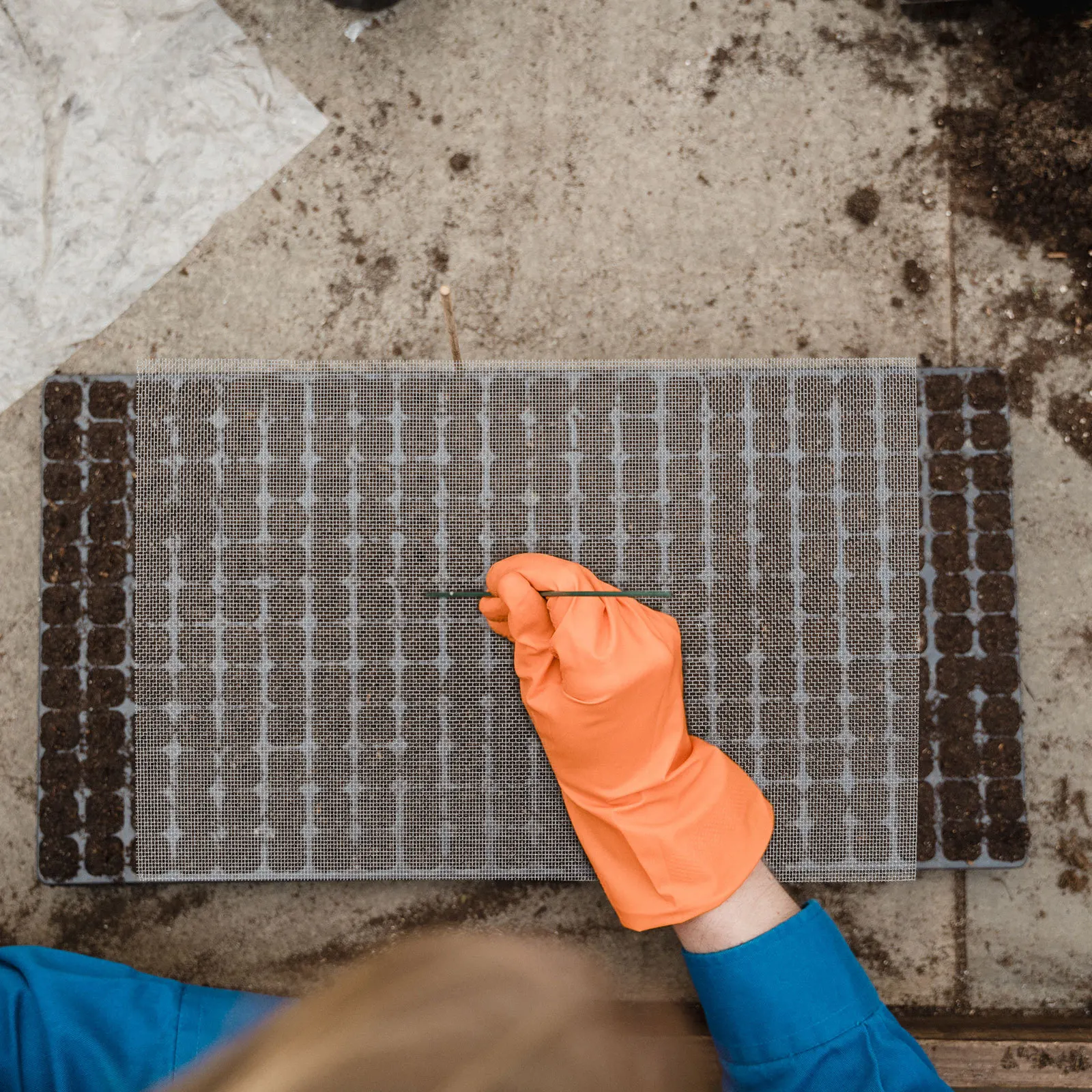 

4Pcs Germination Tray Mesh Pad Durable Seed Growing Sheet Iron Material for Microgreens Sprouts Seedling Seed Mesh Sheet