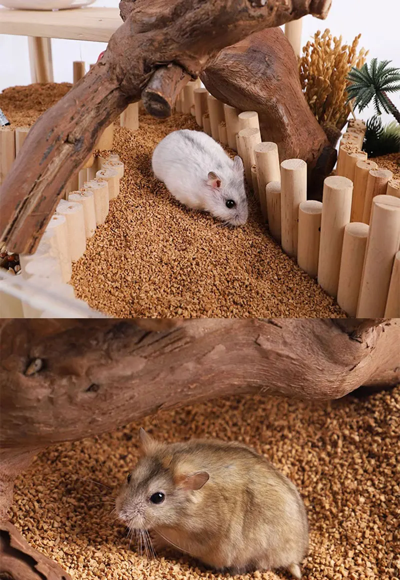 Staubfreies Walnuss-Sandbett, Deodorant-Streu für Hamster, Rutin-Hamster, Hühner, Syrische Hamster, Ratten, Nest, Landschaftsgestaltung für Kleintiere – Detail 11