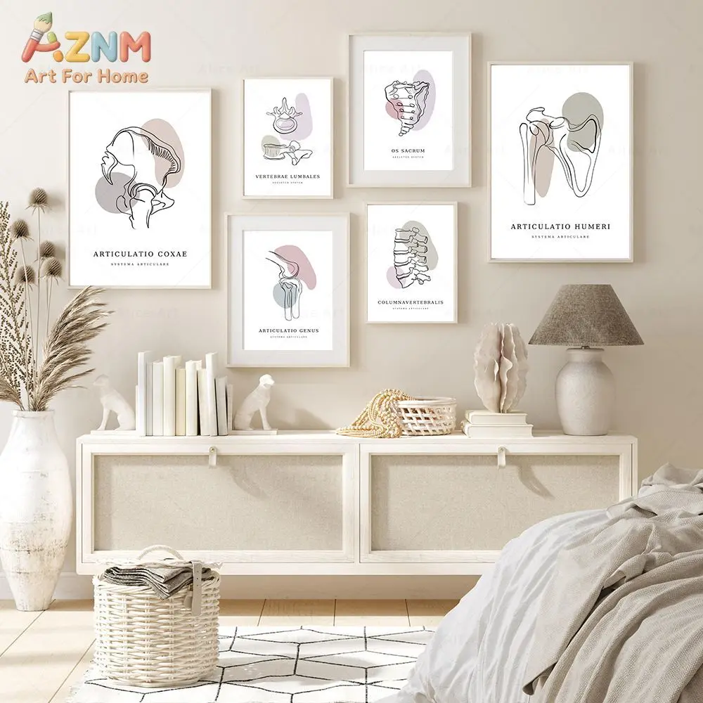 AZNM Human Skeleton Organ Anatomy Canvas Wall Art Line Art Medical Biology Educational Print Frameless Canvas Painting Clinic Of