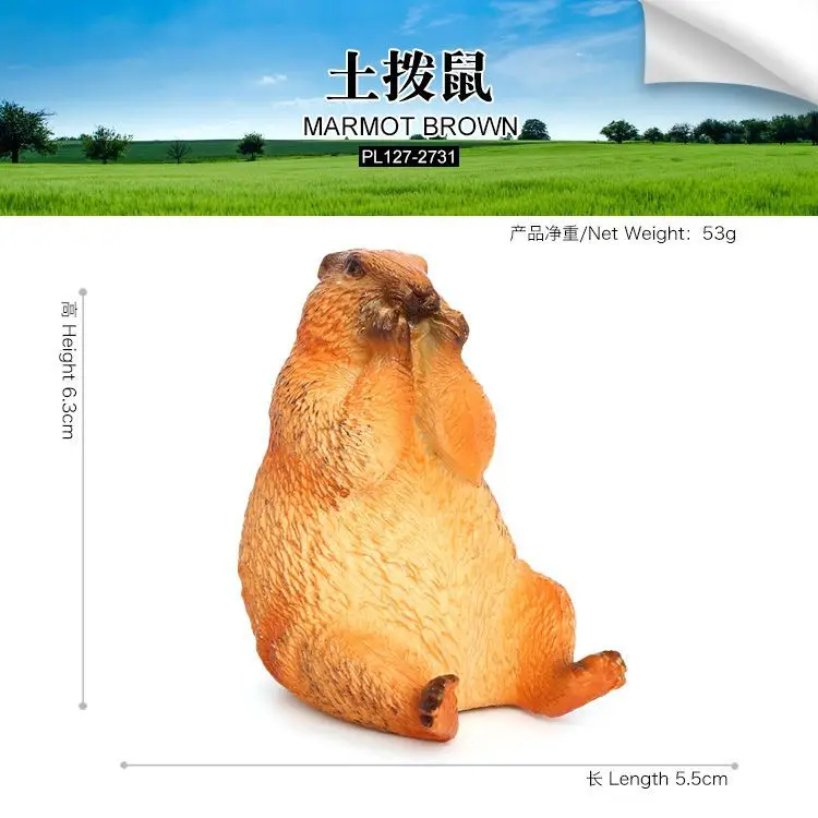 Simulasi lintas batas model plastik satwa liar padat groundhog marmot tupai ornamen mainan kognitif anak-anak