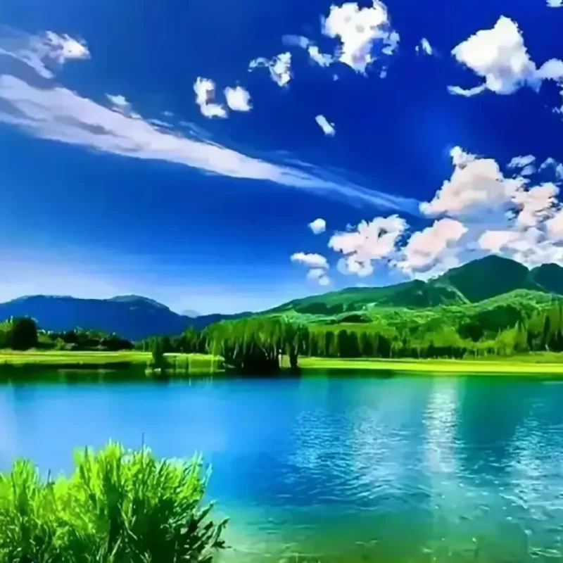 

AWX Customized Product Special Shooting Link