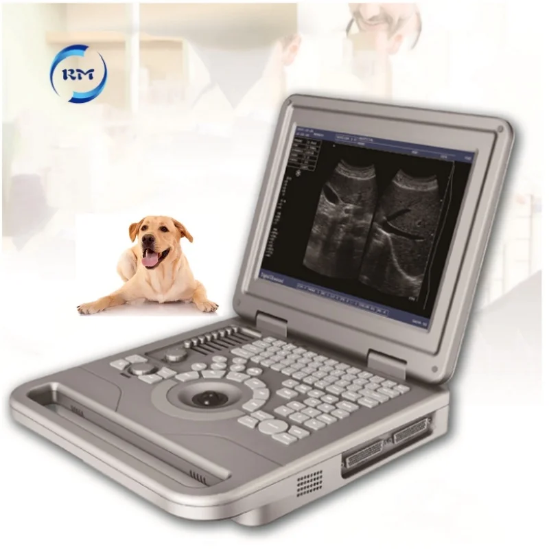 Rayman Veterinary Ultrasound Equipment 12 Inch Full Digital Portable B/W Ultrasound Scanner Machine