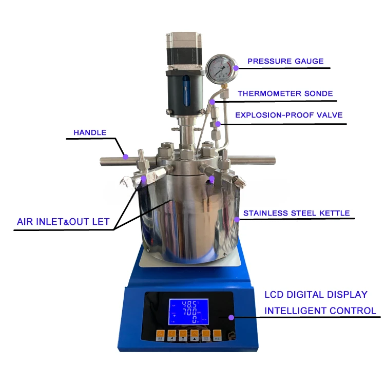 

Lab Mini Type Reactor Pressure Vessel High Pressure Reaction Vessels Hydrodenation Reactor with Digital Control