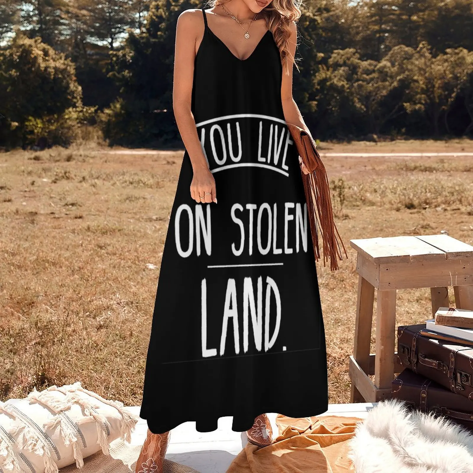 You live on stolen land Sleeveless Dress ceremony dresses dress women summer clothes for woman dresses for official occasions