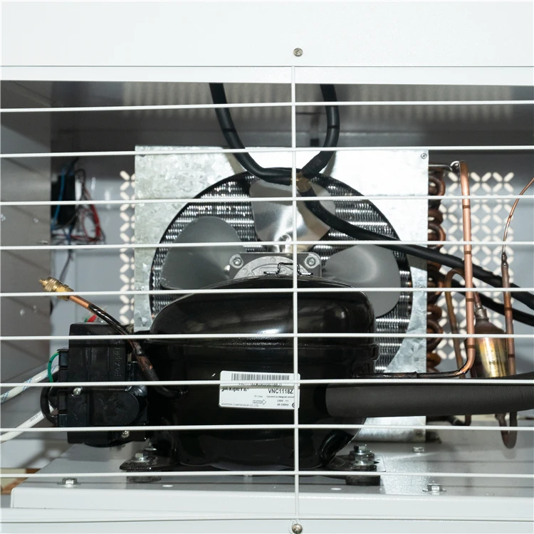 高品質ホット 250L ラボポータブル電気加熱インキュベーター