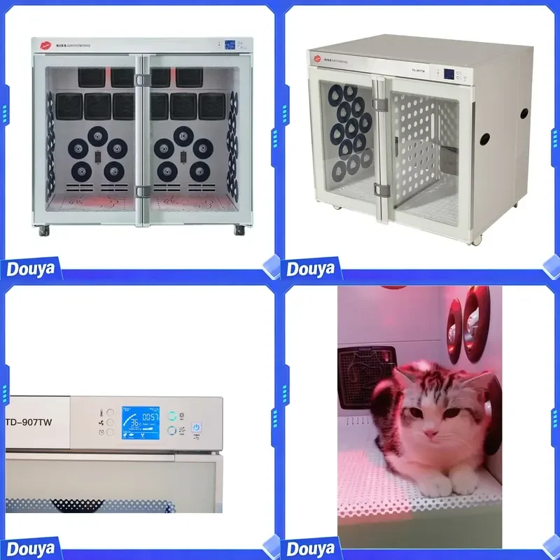 Aeolus Pet Large Drying Cabinet TD-907TW-L Compartment Dryer Dog Cats Dryer Factory Wholesale Customization New Design