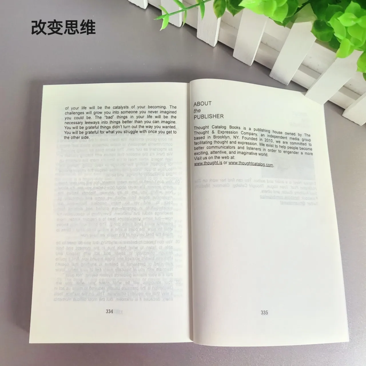 101 Essays That Will Change The Way You Think Paperback English Book