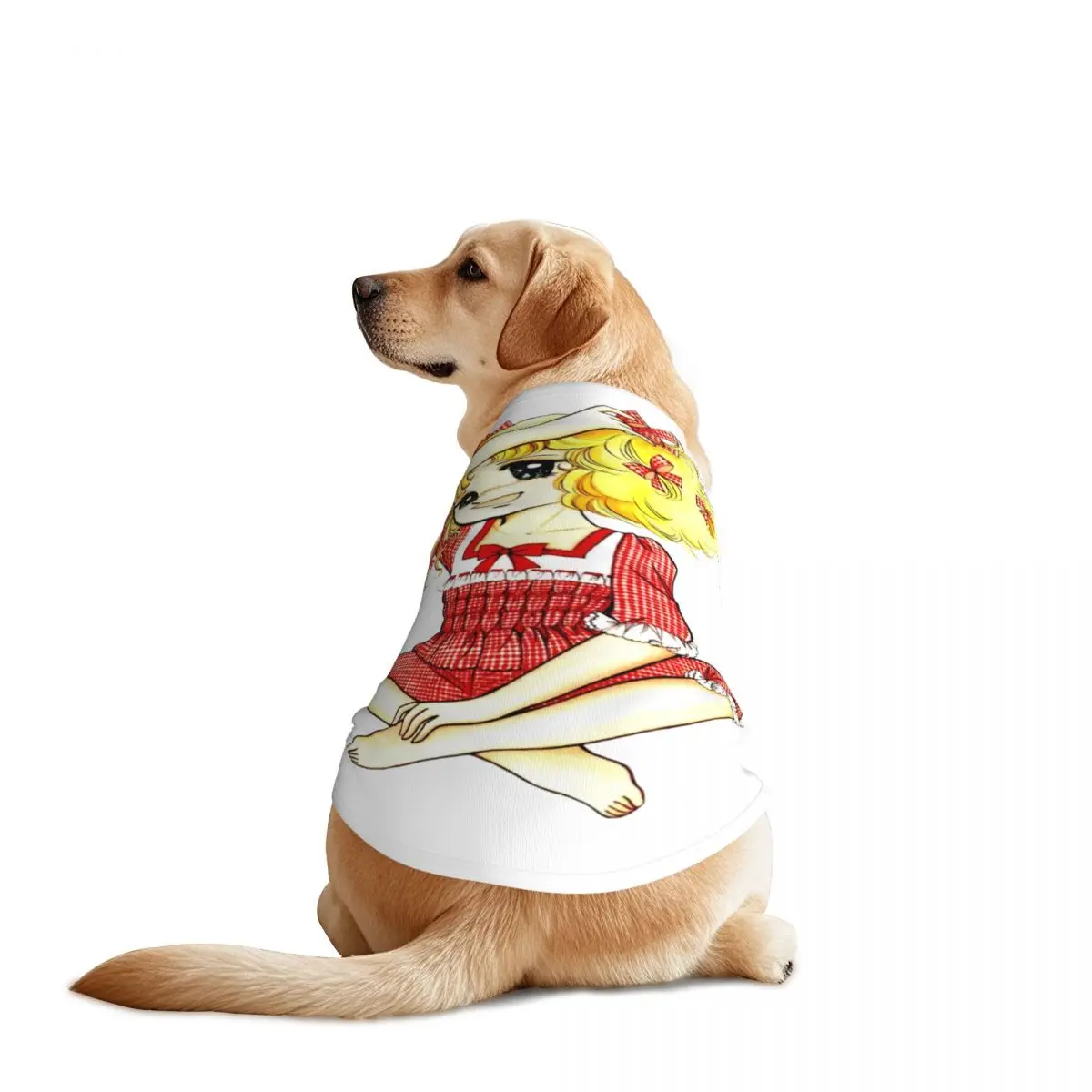 Candy Candy-Chaleco para mascotas con películas de Anime animadas, chaqueta transpirable, ropa para perros grandes, decoración para suministros de disfraces