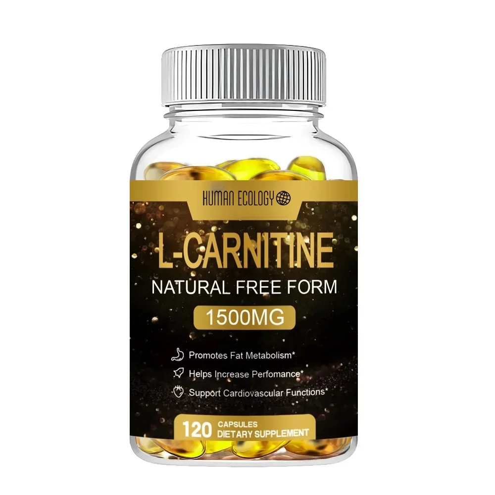 Human Ecology L-Carnitine 1,500 mg High Potency Supports Natural Energy Production, Sports Nutrition, Supports Memory/Focus