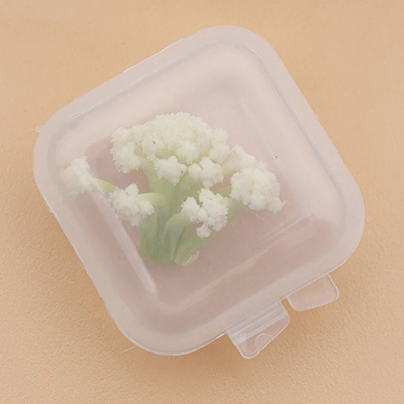 10pcs Mini Plastic Storage Box Earrings Jewelry Storage Case Small Box Jewelry Organizer Packaging