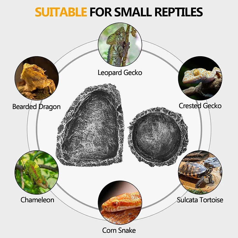 Thumbnail 3 - #79 Trending Reptile Water Bowls Right Now