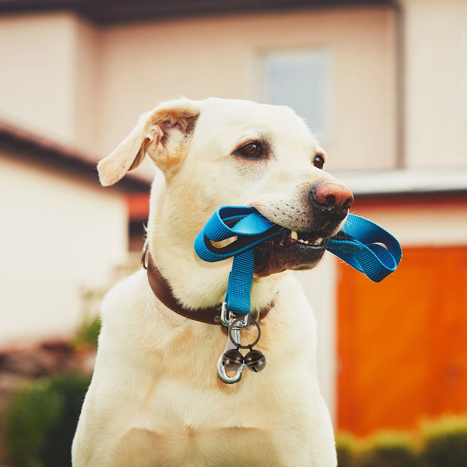 

1 set Stylish Pet Collar Bells Cute Metal Dog Cat Accessories Durable Lightweight Decorative Hanging Bells For Collars Supply
