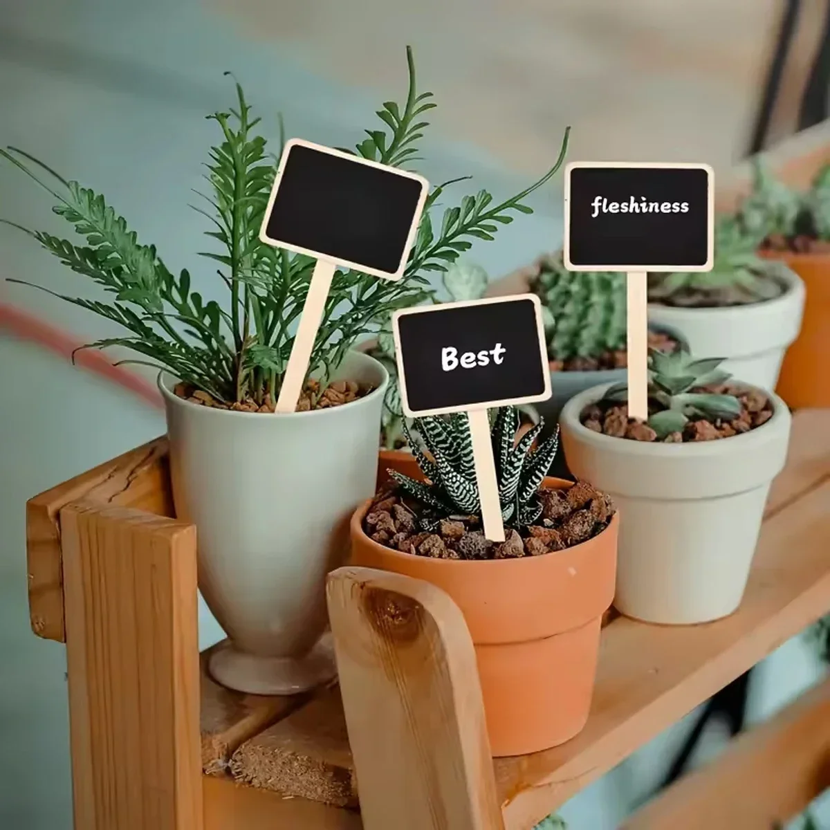 10pcs-Blackboard Flower Horticulture Succulent Plant Label Decoration Insert Accessories Small Blackboard Party Decoration