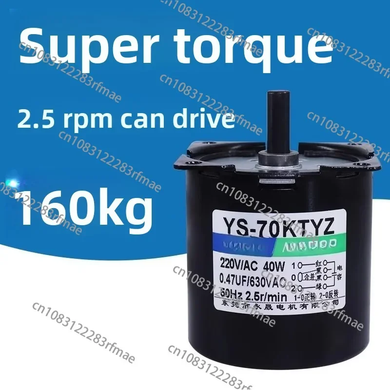 1pcs Small 220V Two-Phase Synchronous Motor - Low RPM Permanent Magnet Gear Motor with Forward/Reverse Rotation