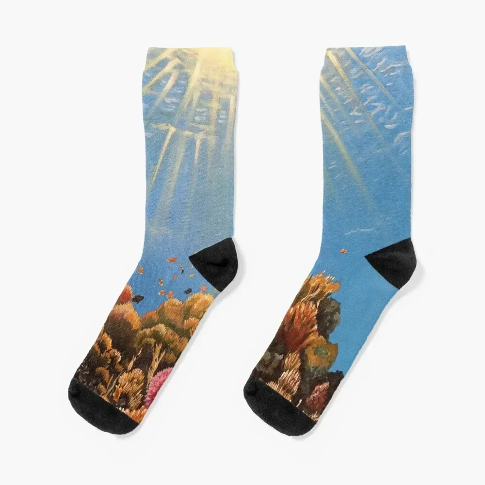 

Great Barrier Reef (Coral Reef) Australia Socks professional running Crossfit cute Socks Woman Men's