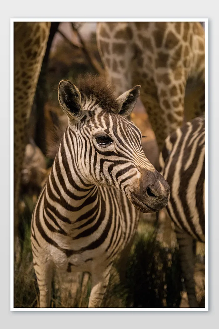 

Комплект герметичных подшипников для радиоуправляемой машины Arrma 1/8 Mojave 4S 4X4 BLX, запчасти для тюнинга