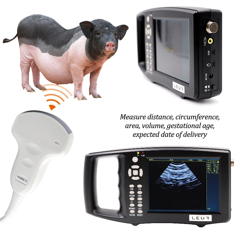 Veterinary Instrument Portable Handheld Animal Pregnancy Test Sonar Veterinary Ultrasound Machine