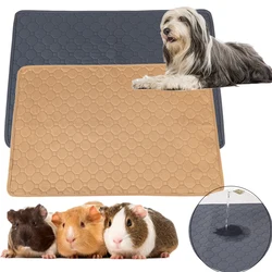 Couche lavable en forme de overd'Inde et de lapin, accessoire imperméable pour literie de hamster