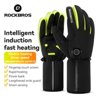 ROCKBROS Heating Gloves Cycling Electric Heating Gloves Intelligent Sensing Winter Thermal Ski Long Glove Type-C charging