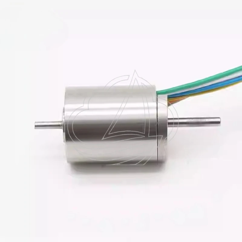 Hollow Cup Motor, Double Shaft, High Torque with Encoder
