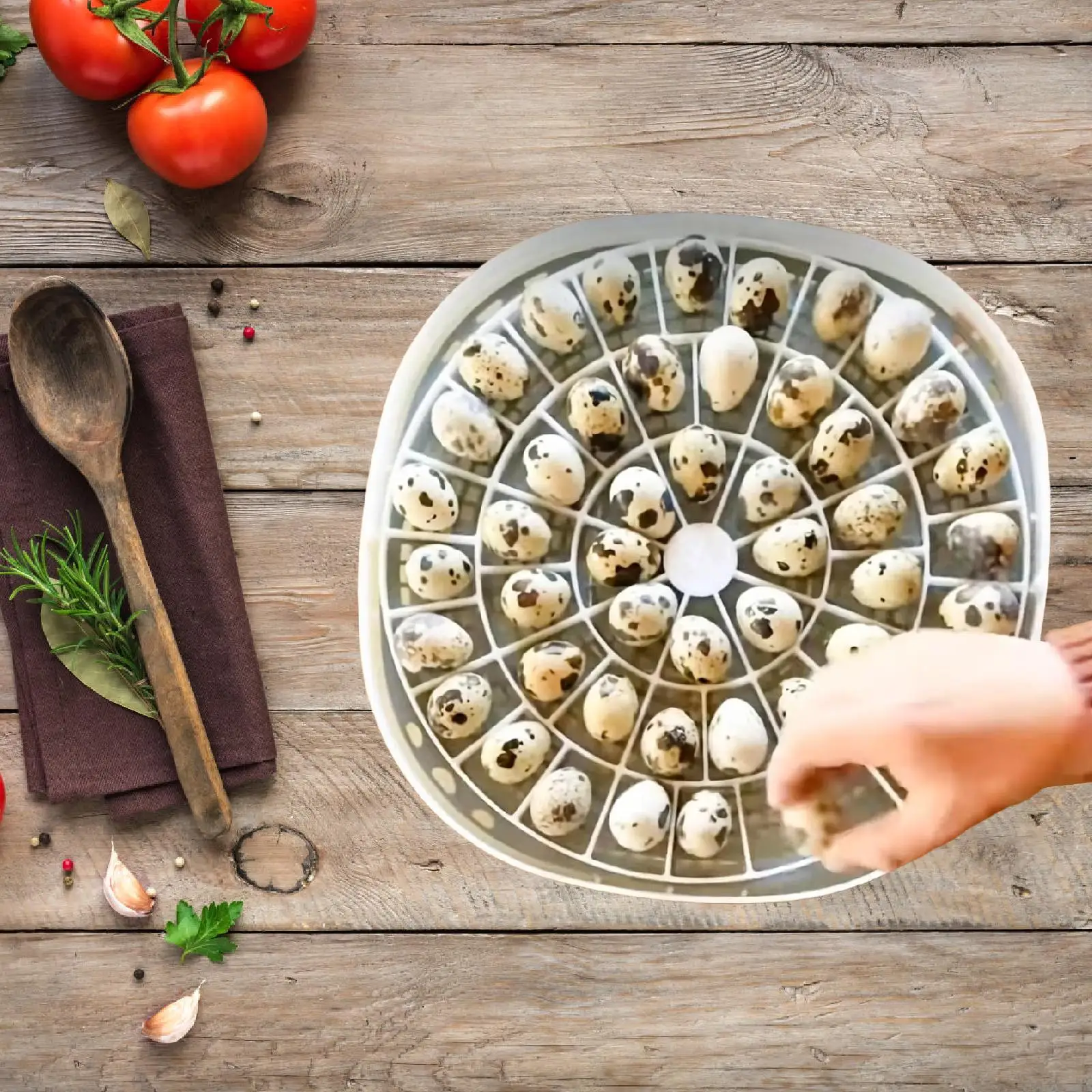 Bandeja para huevos de codorniz pequeño, bandeja giratoria para huevos de fácil instalación con capacidad de 48 para incubadora 360, hogar, cocina y jardín