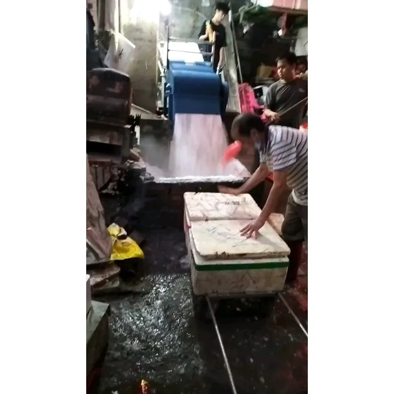 Large Industrial Ice Crusher For Seafood Freezing Litchi Preservation And Commercial Snow Ice Production