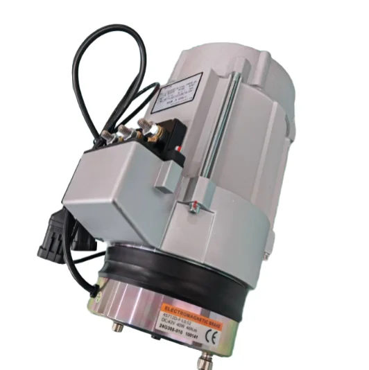 

Electric AC Motor 48V Single Phase 3 Phase Motor 48V DC Motor for Pressure Washer