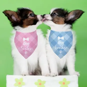 10 best sales אחות גדולה של הכלב - №10