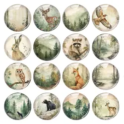 Handmade Secret Forest Animals Photo Glass Cabochon Flatback Demo Flat Back Cameo For Diy Jewelry Making Supplies Accessories