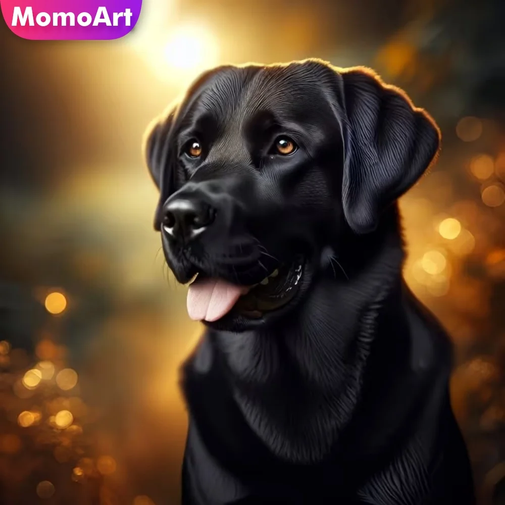 Momoart DIY Diamant-Mosaik Hund Tier Diamantmalerei-Muster für Erwachsene Anfänger-Sets Stickerei Handgemachtes Hobby Heimdekoration
