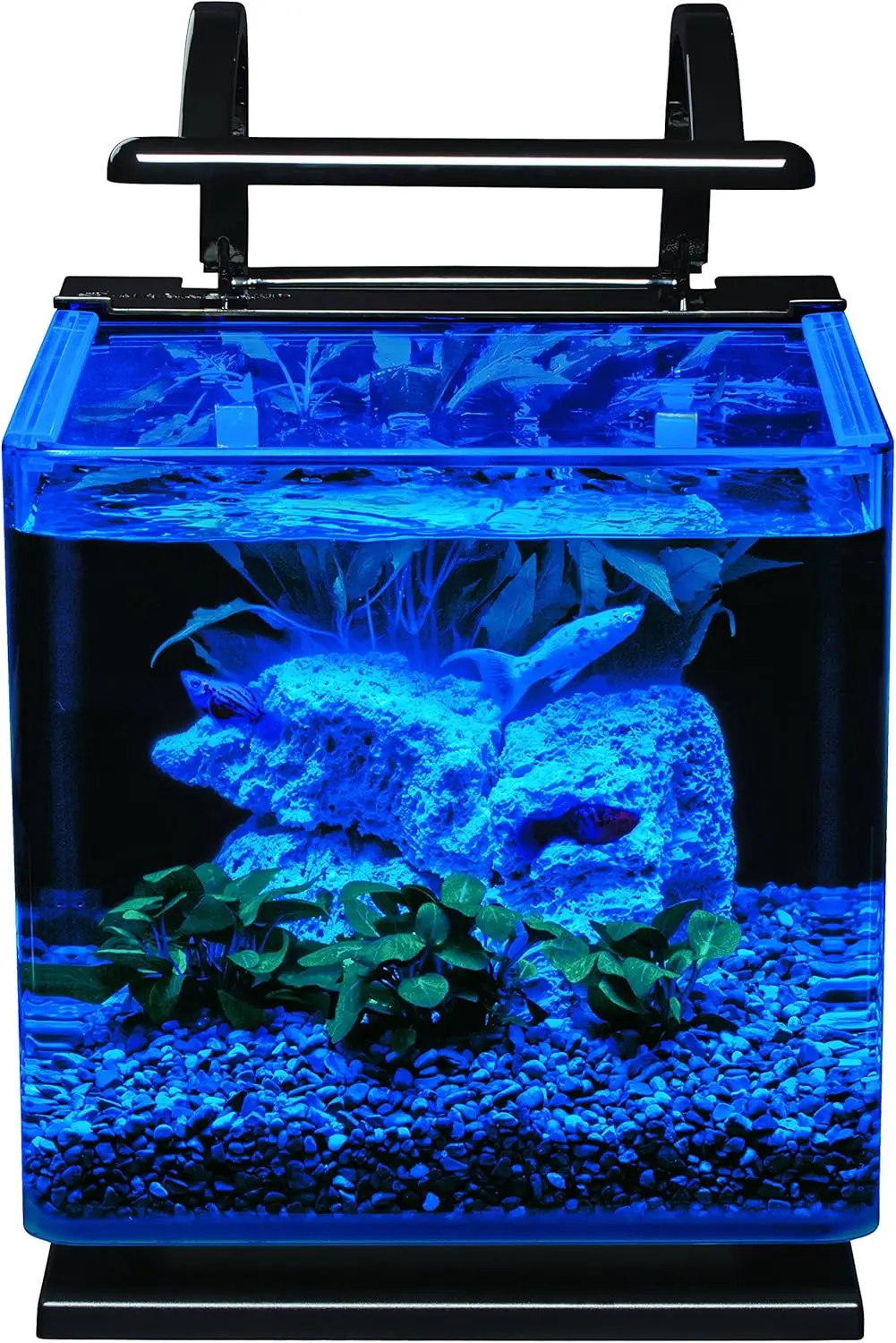 Contour Glass Aquarium Kit with Rail Light