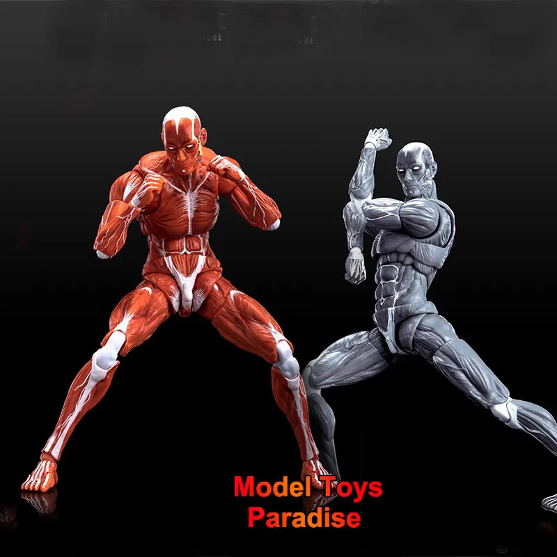 

1/12 Collectible Toys Super Movable Human Muscle Painting Skeleton Soldier 6Inches Action Figure Model Gifts