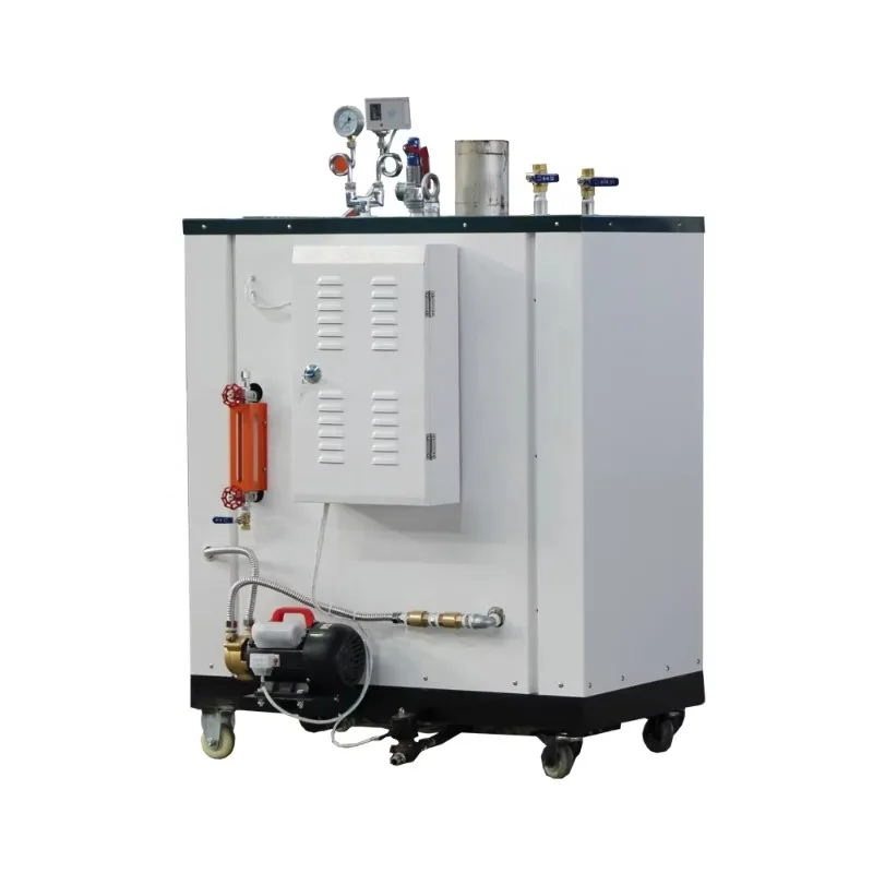 

【2026】as Power 50Kg/H Steam Boiler for Ferti lizer Plant