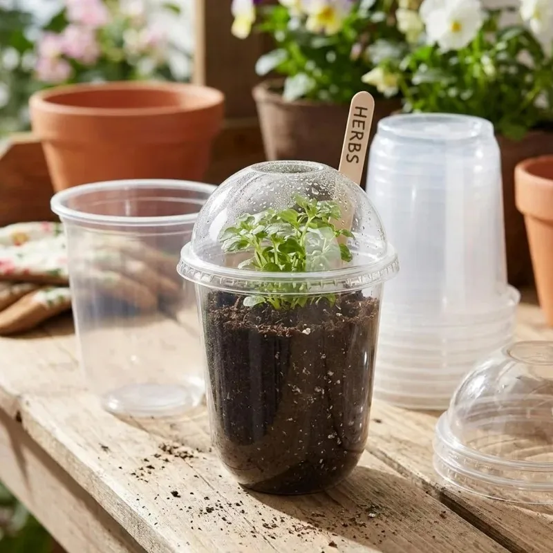 Reusable Seed Germination Cups with Cover Clear Plastic Seedling Nursery Pots Moisture Retention Plant Starter Containers Garden