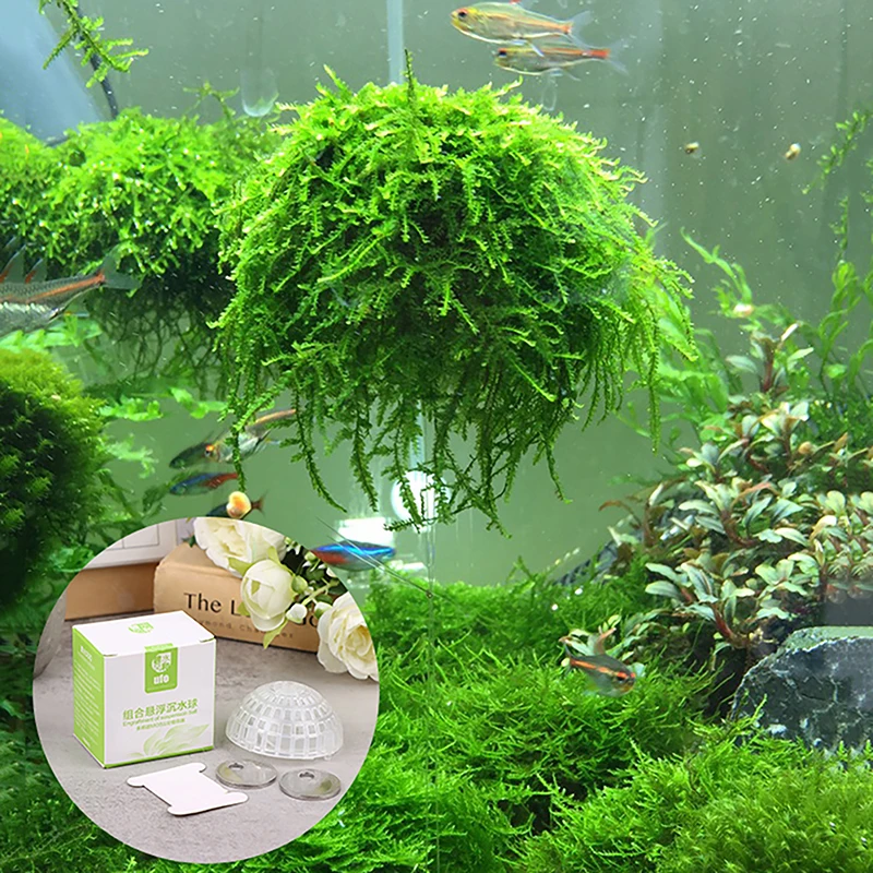 Aquatic Pet Supplies Decorations Aquarium Moss Ball Live Plants Filter Decor Aquatic Plant Suspended Ball Aquarium Supplies