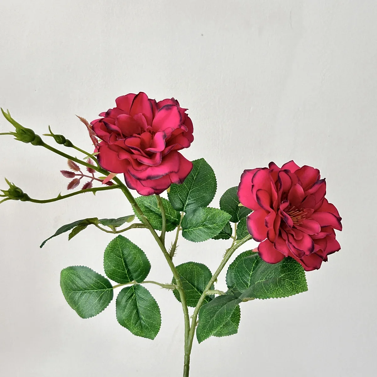 Variant: Carmine red