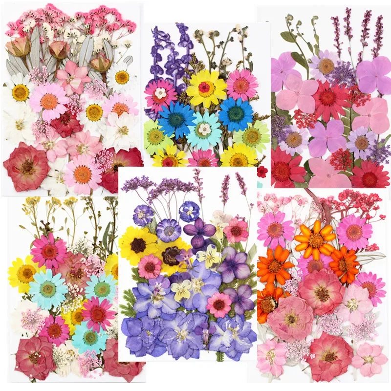 Dried Flowers UV Resin Filler Natural Specimen Pressed Stickers DIY Epoxy Mold Nail Face Decoration Petal makeup Jewelry Casting