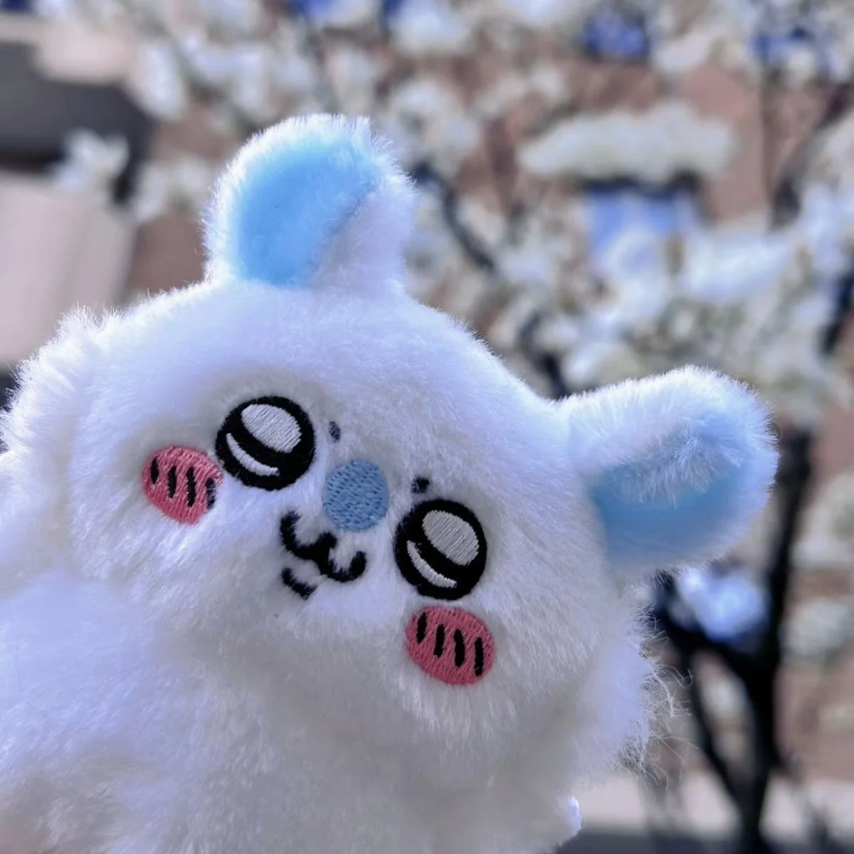 أنيمي المفاتيح قلادة سلسلة من الخرز المفاتيح فتاة kawaii حقيبة قلادة Momonga أفخم دمية لطيف فتاة القلب هدية