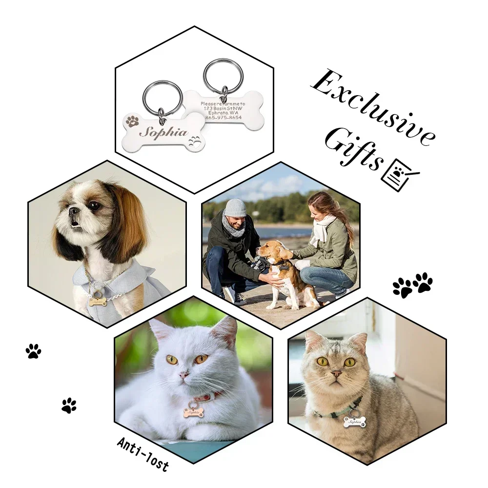 Etiquetas de nombre personalizadas para perros y gatos, Collar antipérdida de acero brillante con grabado gratis para gatitos y cachorros