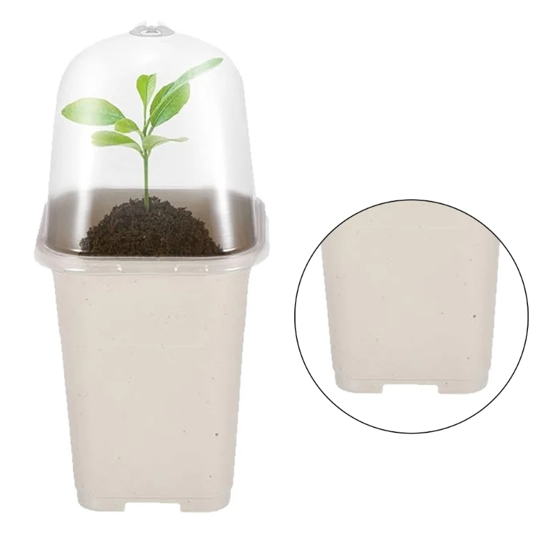 H55A Plastic Plastic Nursery Seed Starting Pots for Succulents Cutting Transplanting