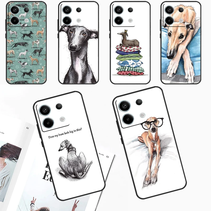 Galgo Greyhound Dog…