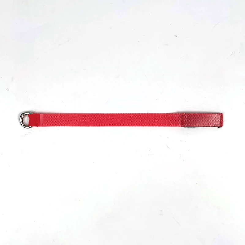 Car Door Emergency Handle Extended Manual Door Release Safety Pull Rope Emergency Puller Button for Tesla Model 3 Y 2025