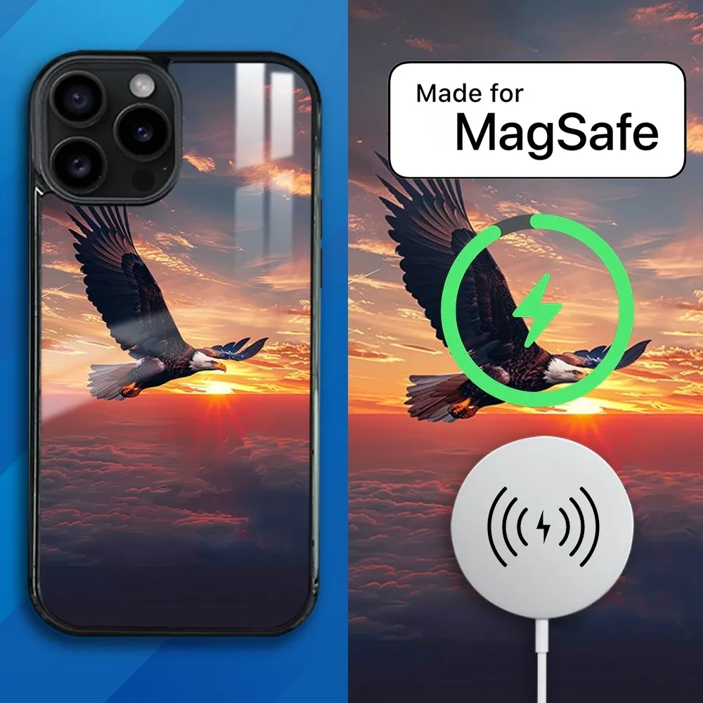 

Bald Eagle Magnetic Phone Case For iPhone 15 14 13 12 11 Pro Max Plus Mini Mirror Wireless Magnetic Cover Magsafe iPhone Case