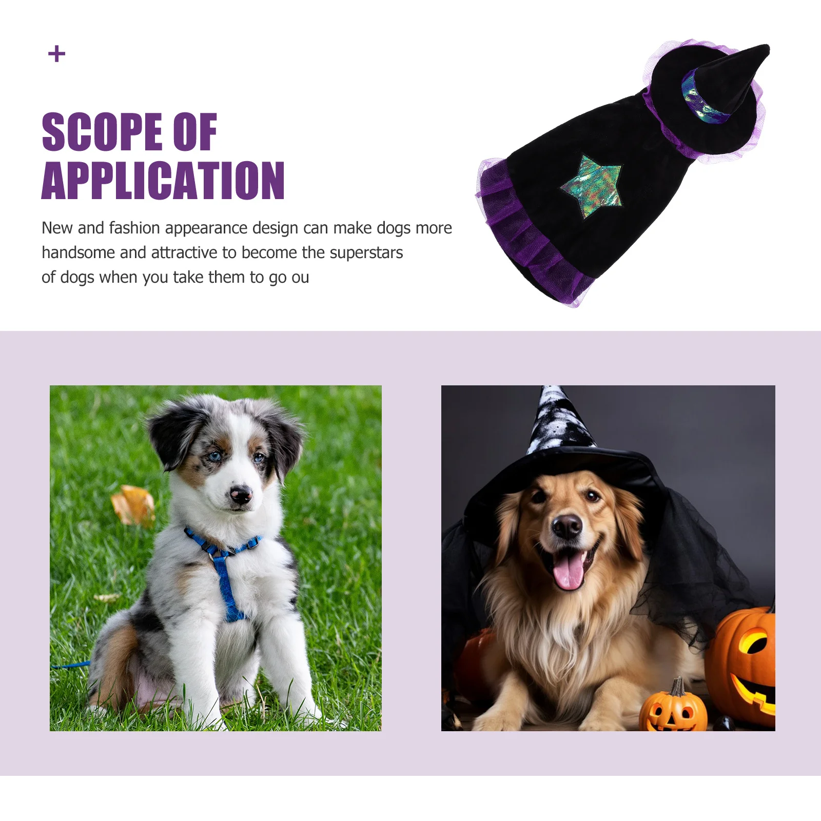 

Halloween Wizard Pet Hat Small Medium Size Fashion Cats Holiday Gathering Birthday Pet Halloween Accessories