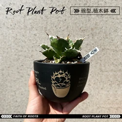 NBHD Hiroshi Fujiwara SRL plant agave, tortoiseshell dragon tuber ceramic pot