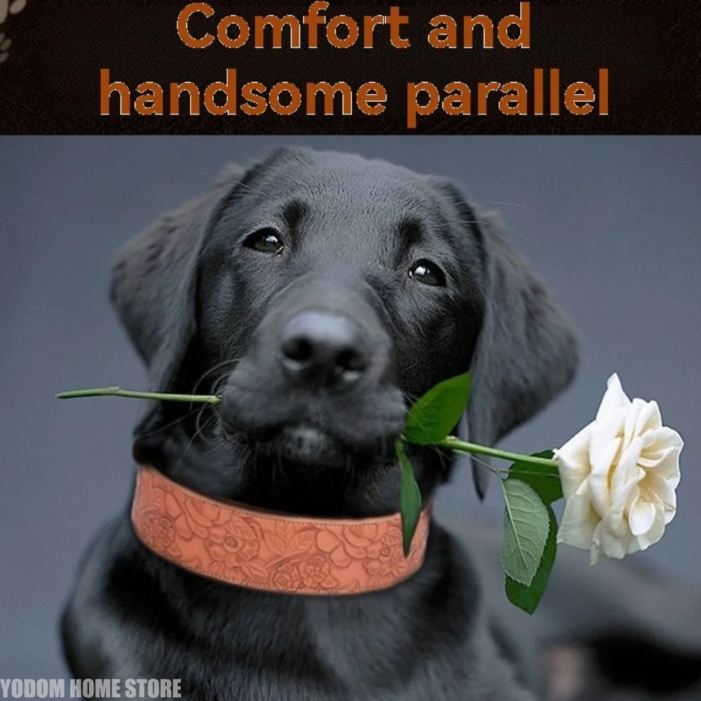 Thumbnail 2 - #60 Puppy Collars List of Top Picks